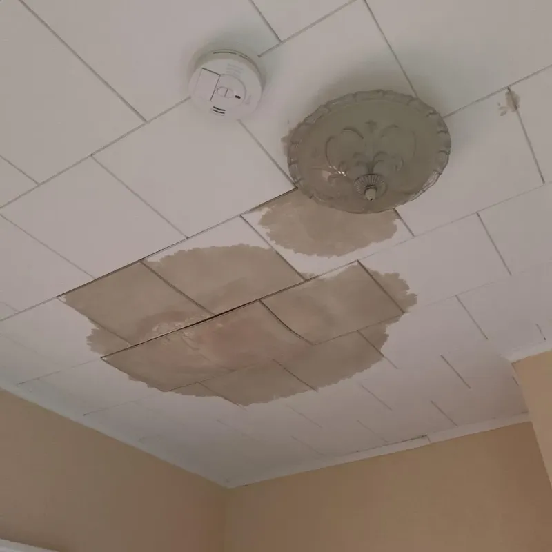 Ceiling Water Damage Repair in Lawrence County, PA