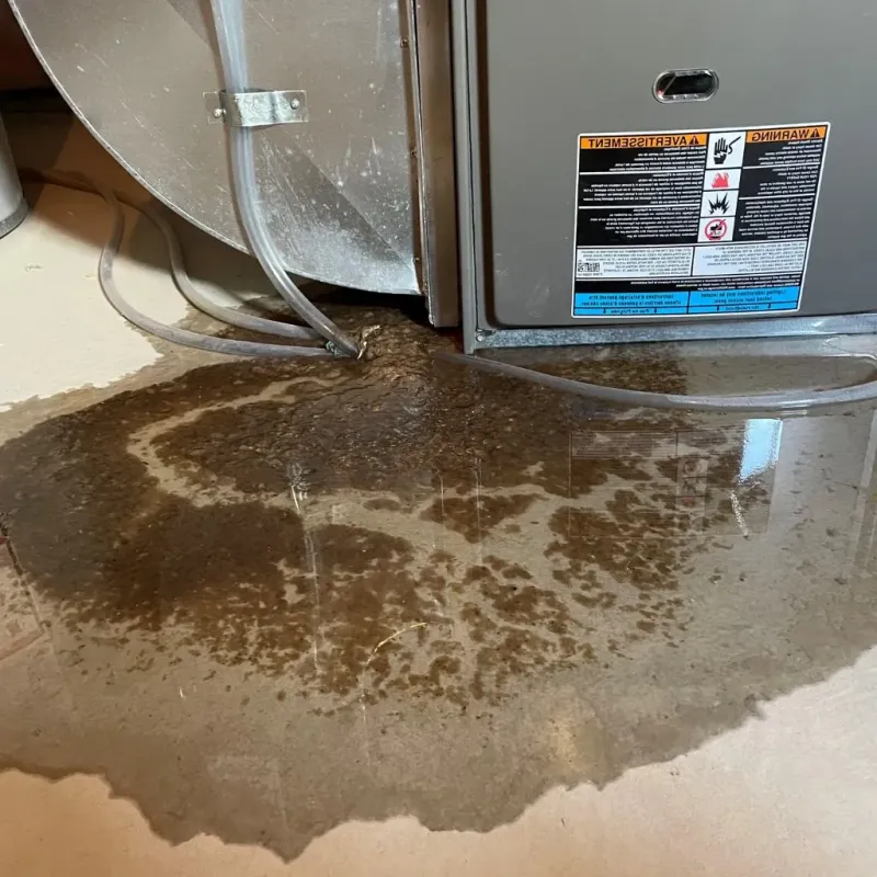 Pipe Burst and Leak Restoration in Lawrence County, PA