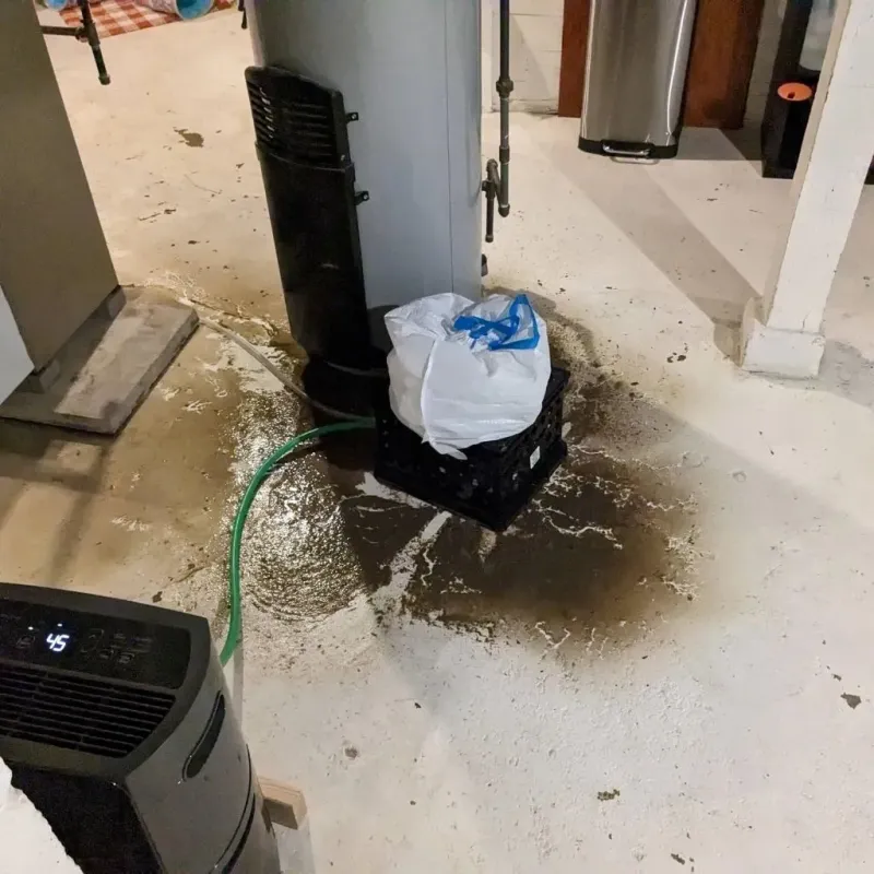 Sewage Backup Cleanup Service in Lawrence County, PA